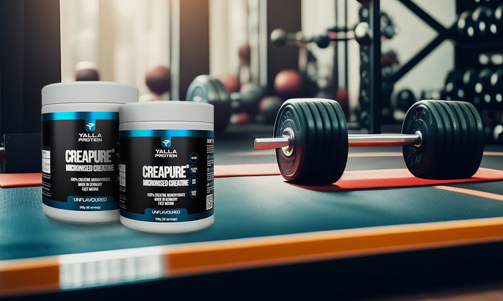 The Basics of Creatine