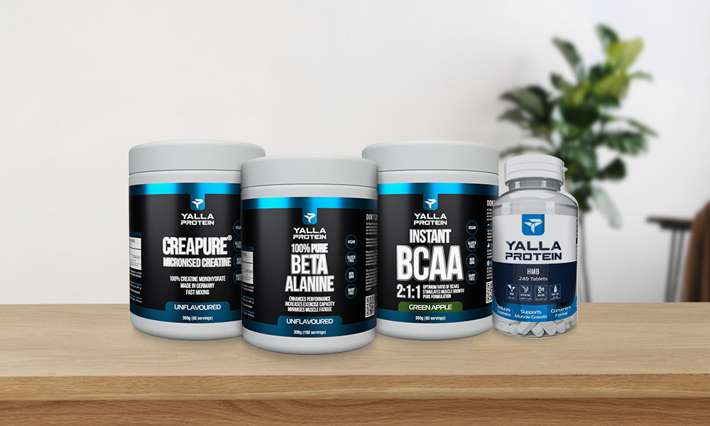 The Best Supplements for Muscle Building and Strength Training