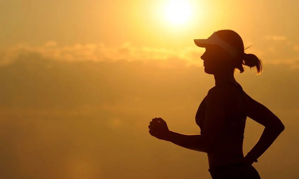 Morning VS Evening Workout